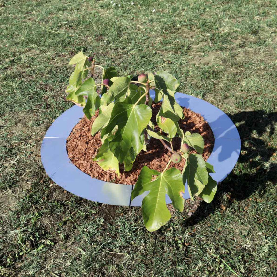 entourage d'arbre rond diametre 100cm