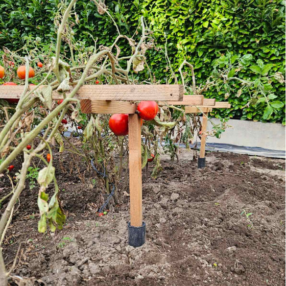 Tuteur tomates cerises en bois