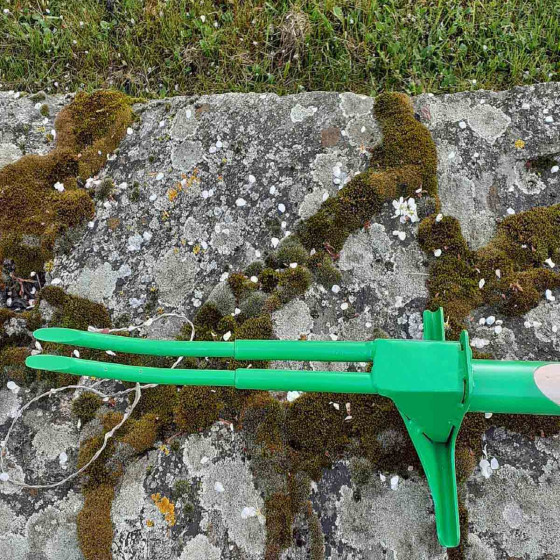 Arrache racine manuel pour pissenlit