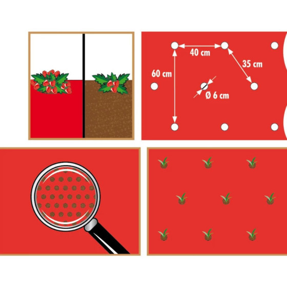 film de paillage pour potager spécial fraise