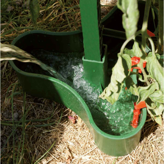 réservoir d'eau tuteur tomate