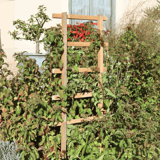 support en bois pour plantes grimpantes