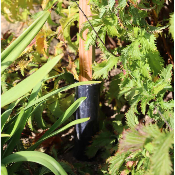 support pour plante grimpante avec cone anti pourrissement