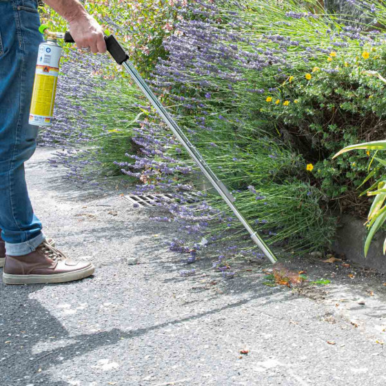 Desherbeur thermique mauvaises herbes