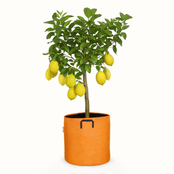 pot en tissu orange 50 litres