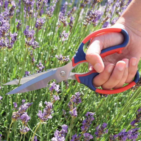 gros ciseaux de jardinage