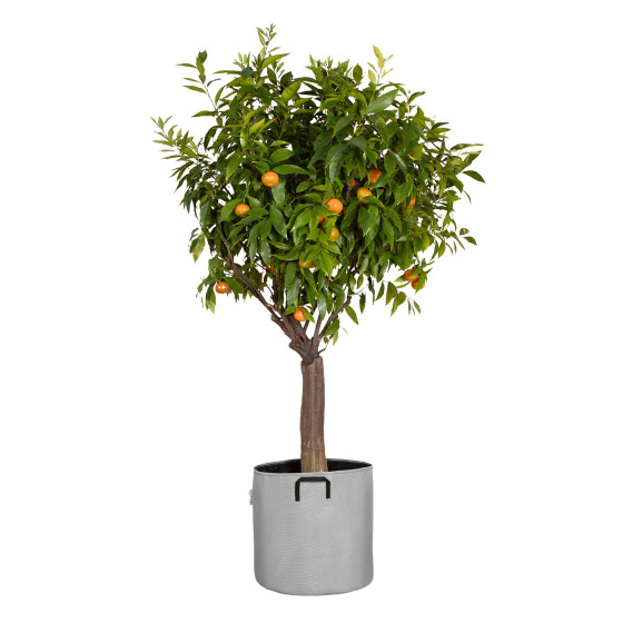 sac de plantation 50L