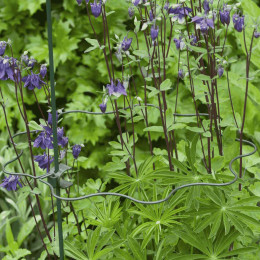 Tuteur 2 supports d'1 m en demi cercle festonné 80 cm