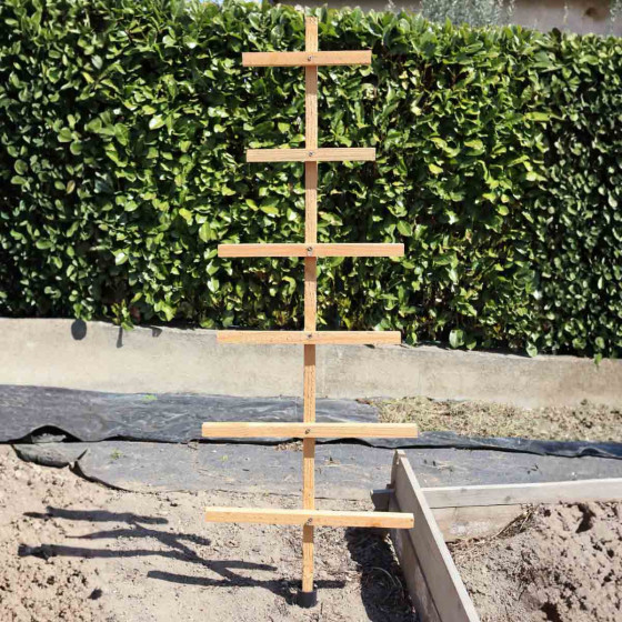tuteur cornichon en bois français