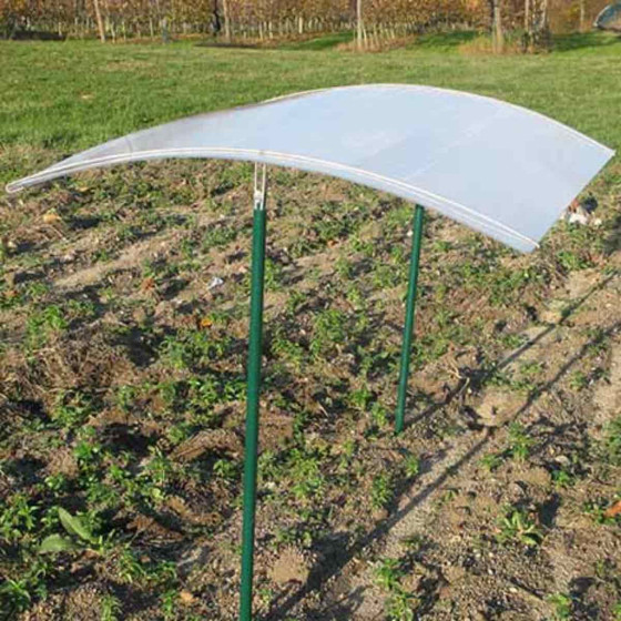 Abri pour tomates dans potager