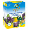 piège à phéromone carpocapse des prunes