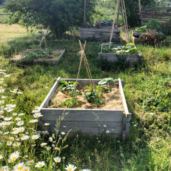 rectangle potager en bois robuste
