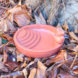 abreuvoir pour oiseaux du jardin