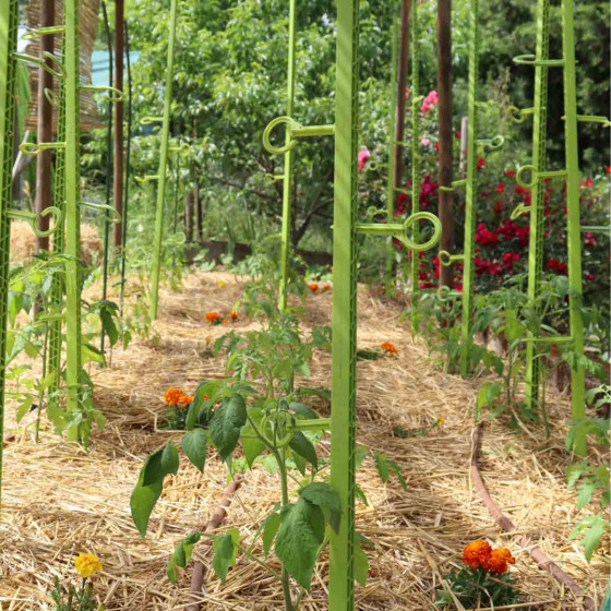 Tuteur en plastique pour le potager