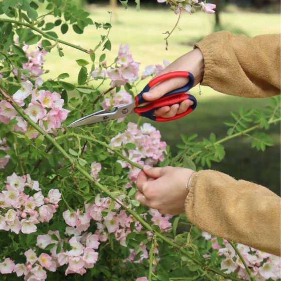ciseaux de cuisine et de jardinage