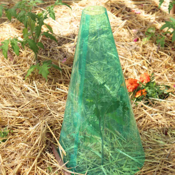 Cone de forcage potager 50 cm