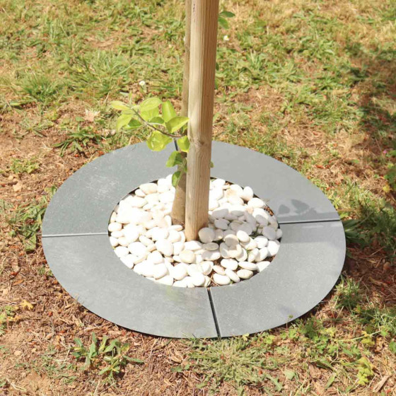 bordure entourage d arbre