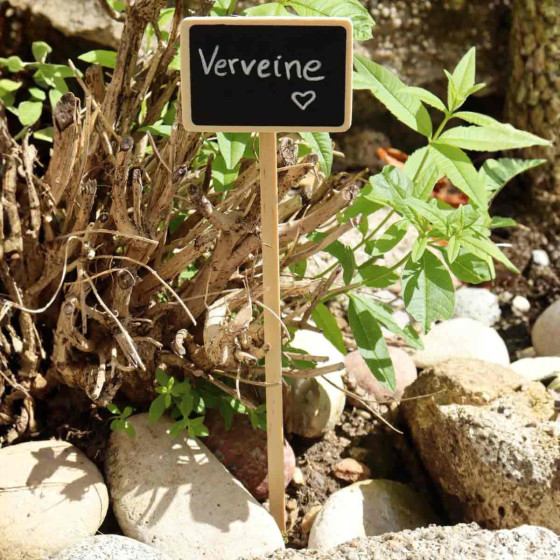 etiquette a planter en bois