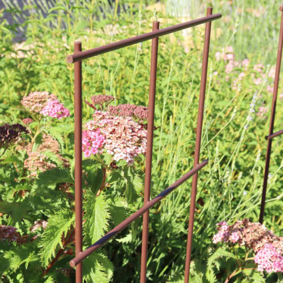 tuteur pour plante grimpante