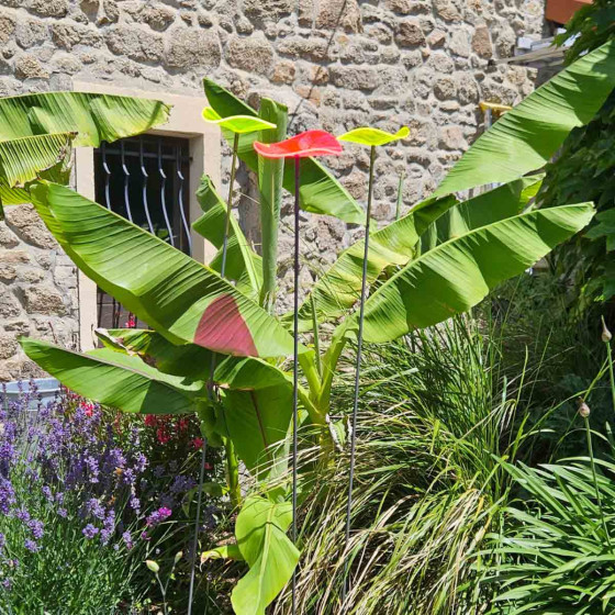 decoration exterieure attrape soleil