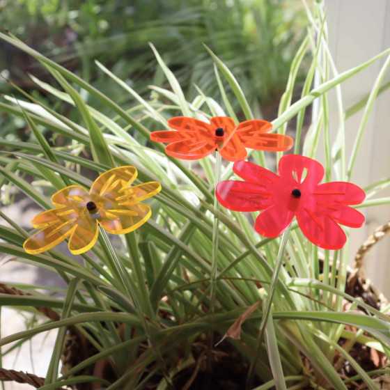attrape soleil fleurs