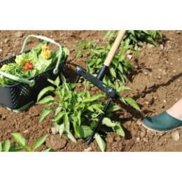 griffe jardin 3 dents