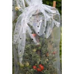 Housses de forçage tomates (10 m)