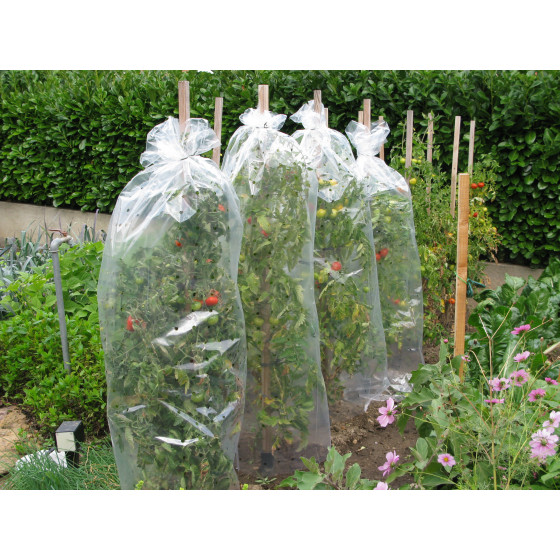 housse de protection pour tomates