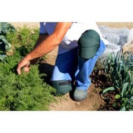 genouillère de jardin protège genoux