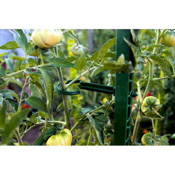 tuteur tomate 1m80