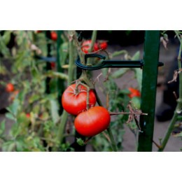 Tuteur à tomate 1,80 m