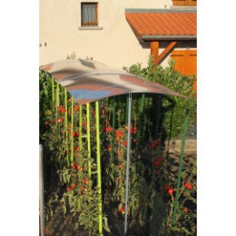 Abri pour tomate réglable en hauteur avec toit en polycarbonate