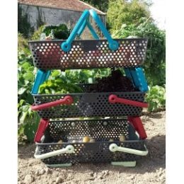 Lot 3 paniers de cueillette Kajo 20 L en plastique ajouré