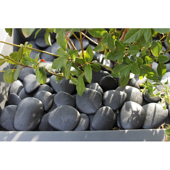 Galets de jardin décoratif noir en plastique recyclé diamètre 5-8 cm