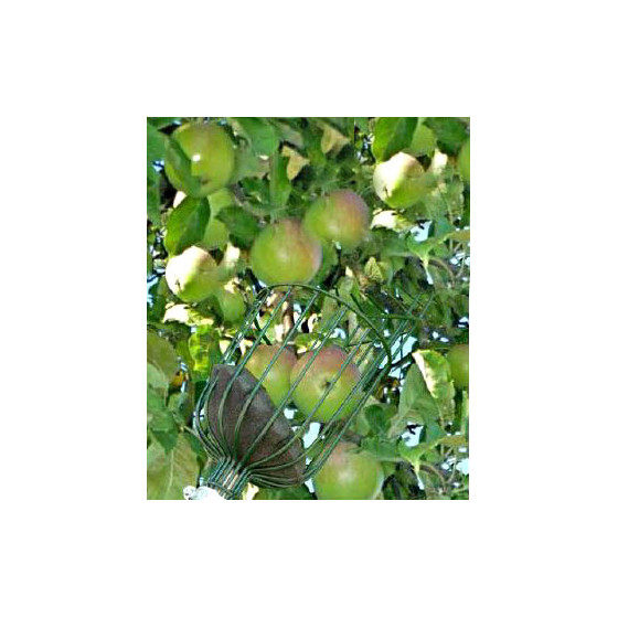 Cueille fruit pour ramasser pomme