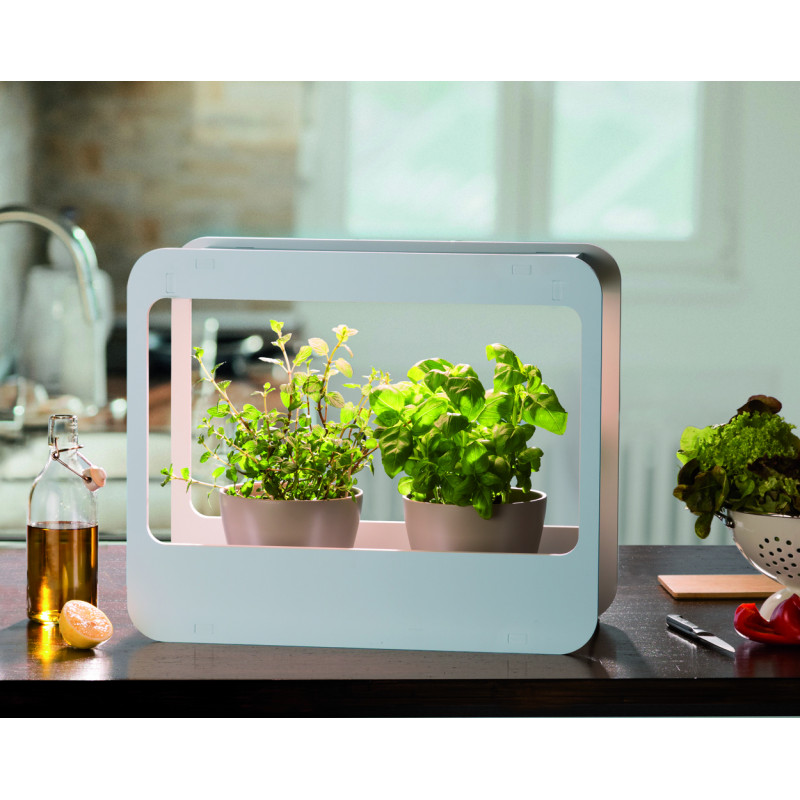 Découvrez le mini jardin d'intérieur à LED de Jardin et Saisons !