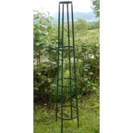 Tuteur colonne corset en acier vert pour rosier grimpant