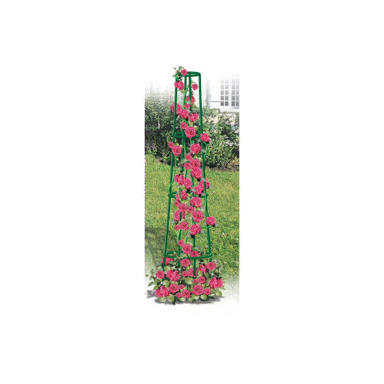 Tuteur colonne corset en acier vert pour rosier grimpant
