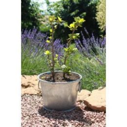 Pot en zinc rond 28 Litres