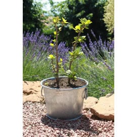 Pot en zinc rond 28 Litres