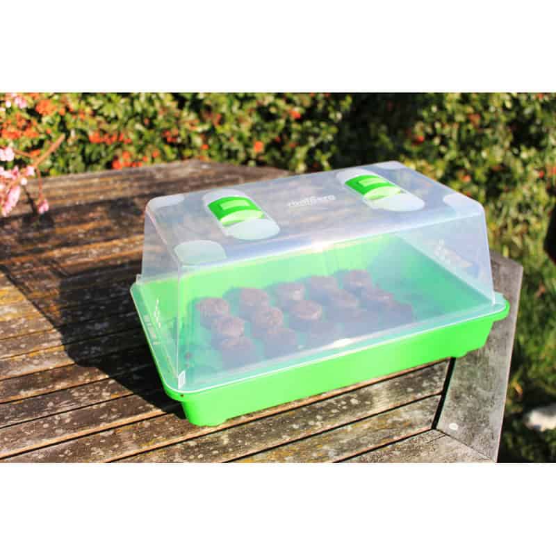Mini Serre Intérieure 4 Plateaux - Bac à Semis Avec Couvercle, Pour Germination Graines (Tomates, Piments...)