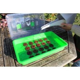 Mini serre de germination pour semis