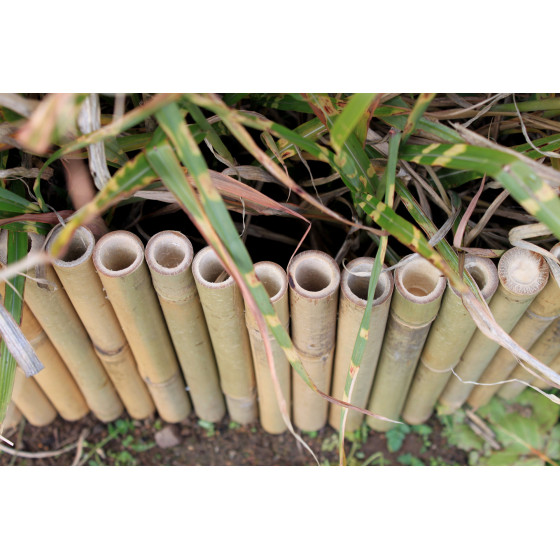 Bordure bambou naturel
