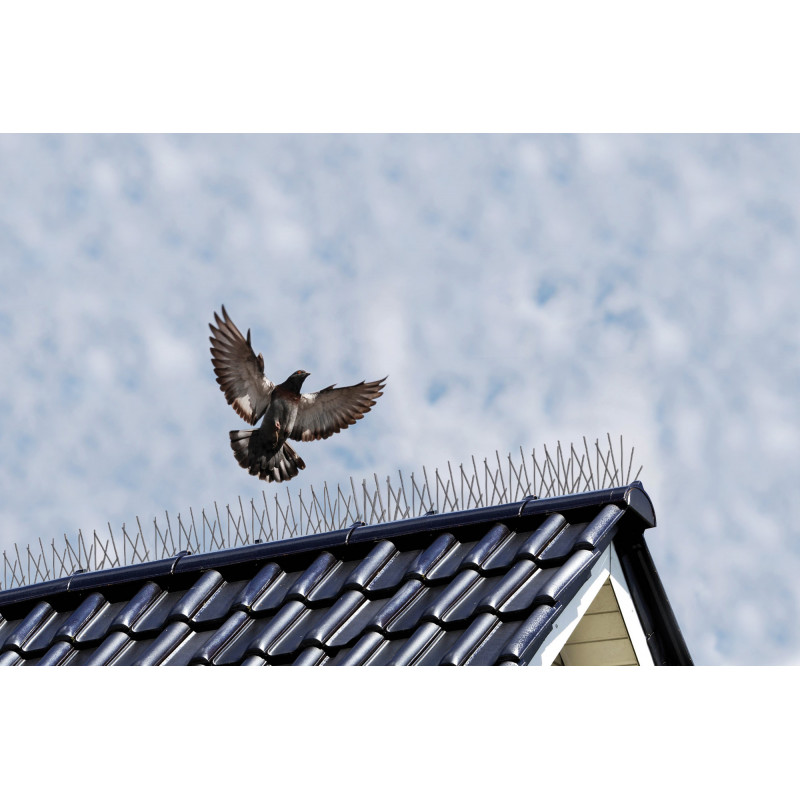 Lot de 4 répulsifs Anti-Pigeons en Acier Inoxydable pour Balcon, Toit et  fenêtre - Protection Contre