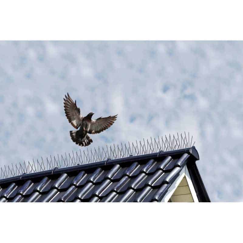 Pics Anti-Pigeons En Acier Inoxydable - 3 Mètres - Installation Facile Sur Corniches, Toits, Fenêtres - Fabriqué UE