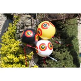 effaroucheur oiseaux
