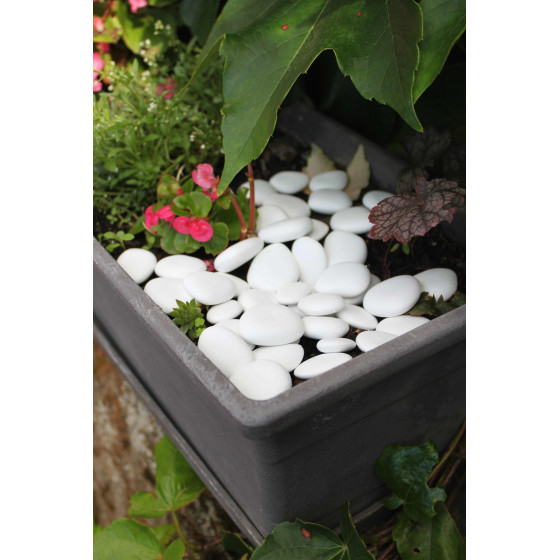 Galet blanc jardin pour décorer pot de fleurs