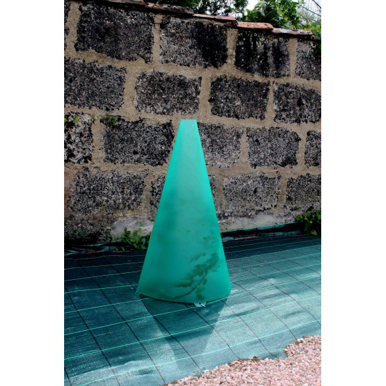 Cône de forçage potager