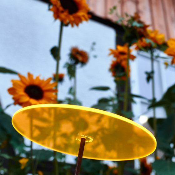Attrape soleil de jardin Cazador Del Sol disque de fleur jaune
