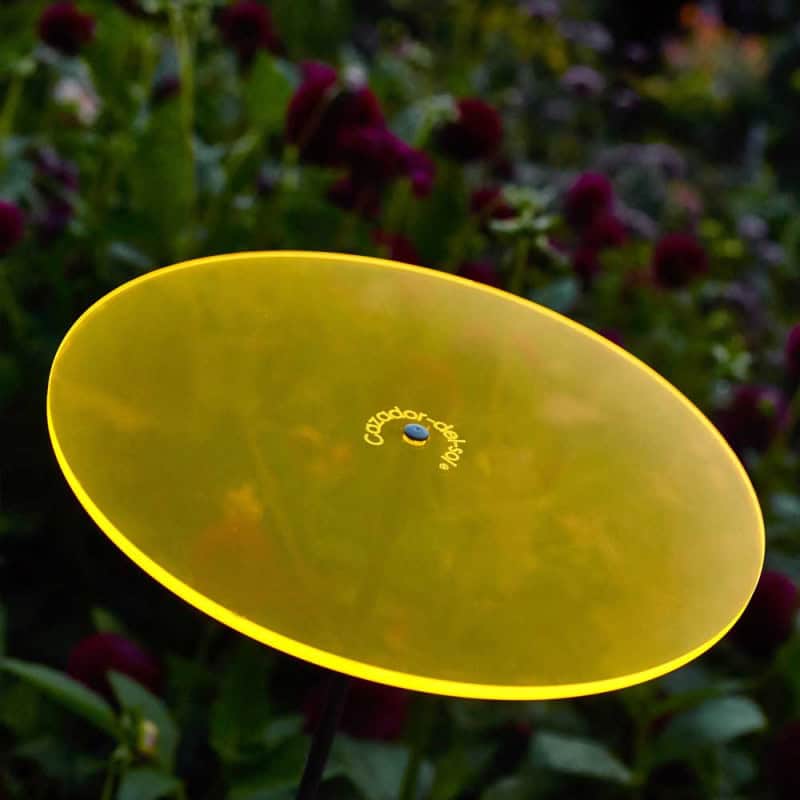 Attrape soleil Cazador Del Sol 2 disques de fleur jaune et 1 rouge